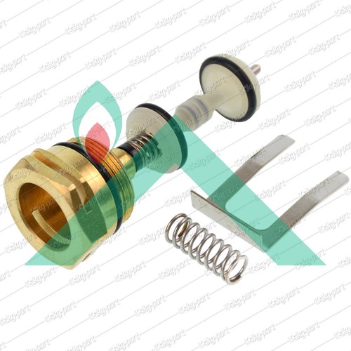 Kit revisione valvola - revisione,