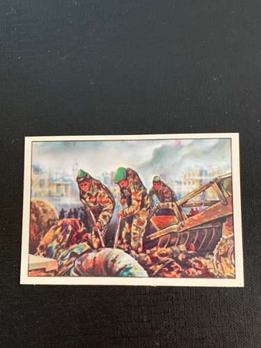 Panini italia patria - panini, nostra