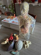 Corpo Umano Deagostini