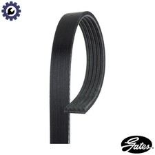 VRIBBED BELT 5PK923 FOR