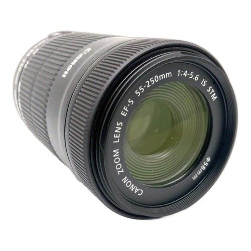 Canon zoom lens is stm - lens,