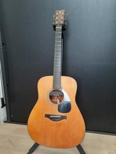 Chitarra elettrica acustica