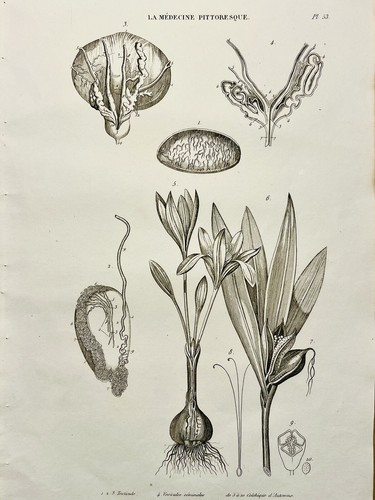 Tavolo antico rame 1834 - antico,