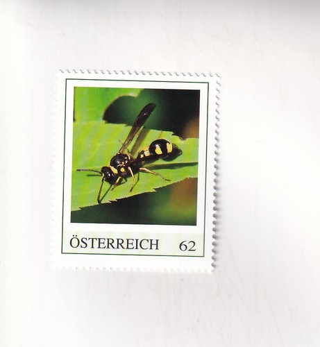 Francobollo austria insetti - francobollo, pm