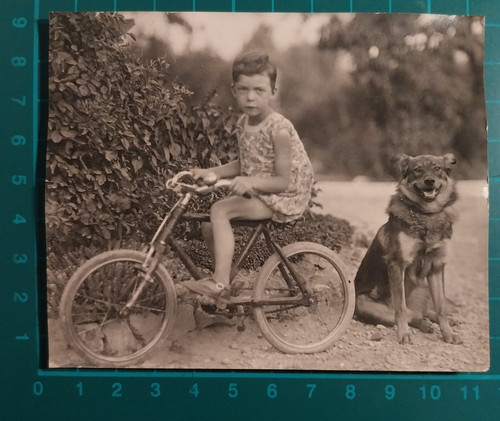 Foto ragazzina con bici - ragazzina,