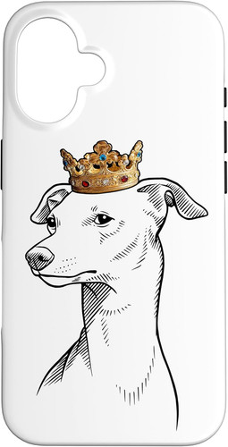 Cane levriero italiano che - cane,