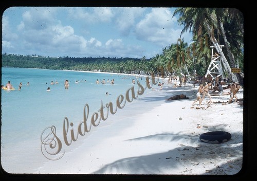 Palme spiaggia militare 35 - spiaggia,