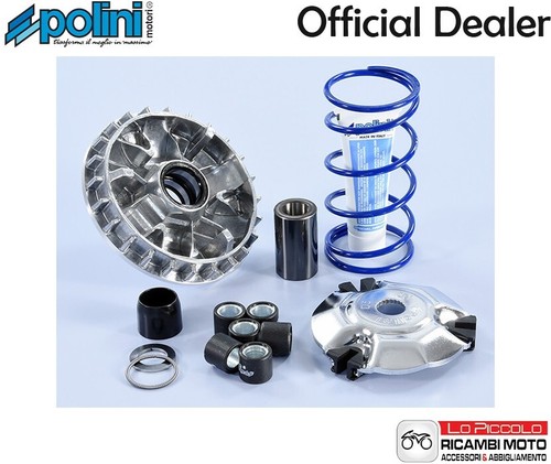 241 766 variatore - 241.766, polini