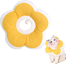 Collare Elisabettiano Gatto