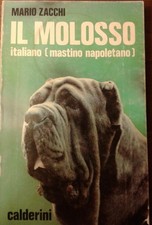 Il Molosso (Mastino Napoletano) Mario Zacchi