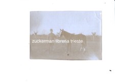 foto 1O REGGIMENTO GENIO 19a compagnia M.M. ww1 cavallo militare