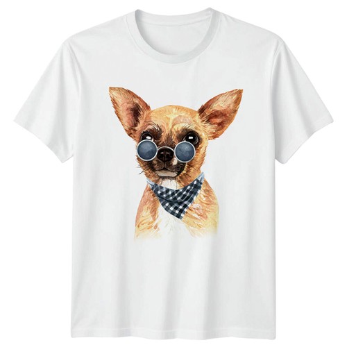 Chihuahua occhiali sole - chihuahua,