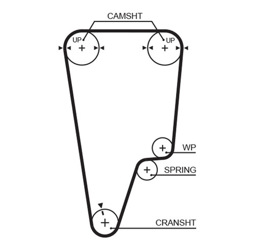 Cinghia distribuzione gates - cinghia,