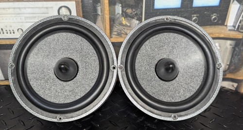 Altoparlanti midrange oem - 2,