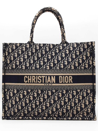 Christian dior oblique - dior,