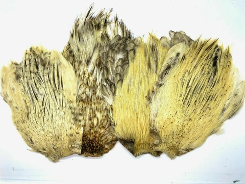 Piuma del collo - piuma,