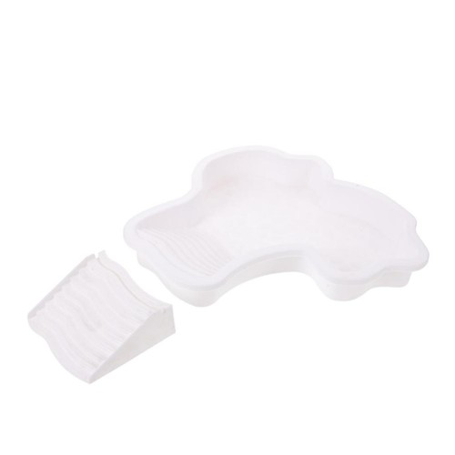 Lucertola bagno piscina - ,