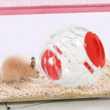  2 Pcs Criceti Giocattolo