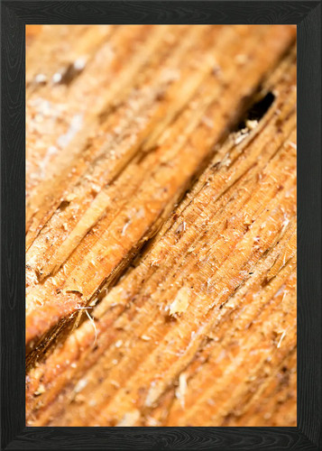 Quadro stampa tela - quadro, poster