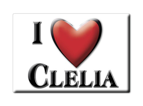 Clelia calamita magnete - magnete, da