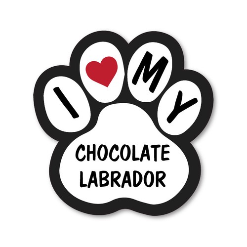 Love chocolate labrador - love,