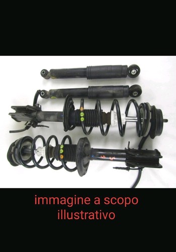 Molle ammortizzatori - molle,