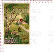 A2110 MULINO ACQUA CON RUOTA 1920 MEDICINA PURGANTE CITRATO GABBIANI PUBBLICITA