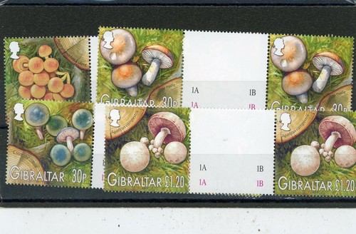 Gibilterra 2003 fungi scott - gibilterra,