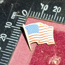 SPILLA PINS DISTINTIVO USA