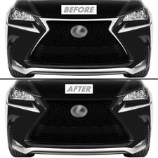 Chrome Delete Blackout Vinyl