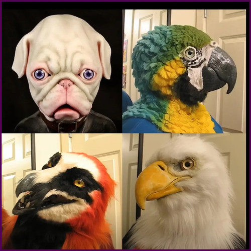 Maschera aquila cappuccio - aquila,