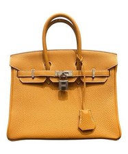 Borsa a mano Hermès Birkin 25