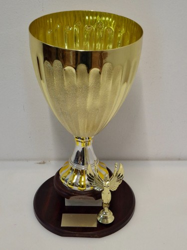Coppa trofeo primo posto - coppa,