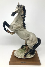 Giuseppe Armani Allevamento