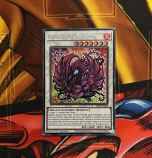 DRAGO ROSA NERA • (Black