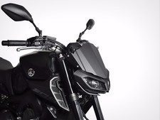 CUPOLINO YAMAHA MT-09 2017