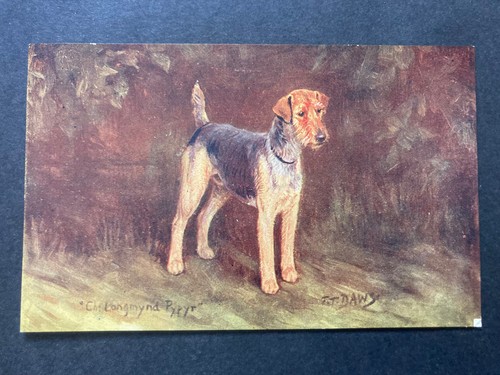 The welsh terrier vintage - terrier,