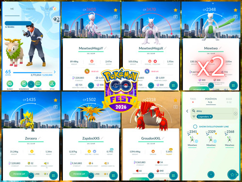 Pokémon acc lv65 119x - pokémon, |