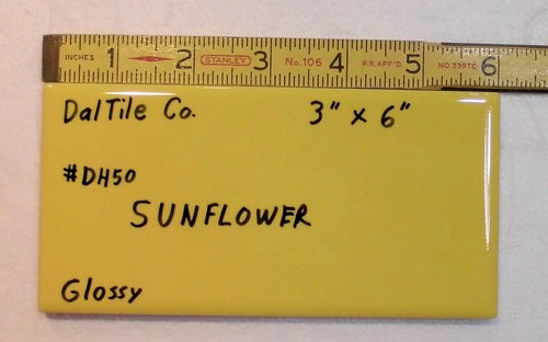 Girasole giallo - girasole,