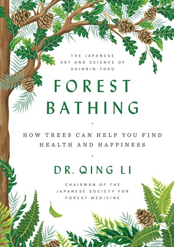 Forest bathing the power of - forest,