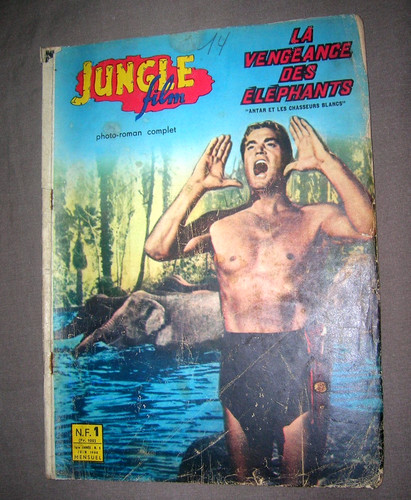 Jungle film tarzan et la - jungle,