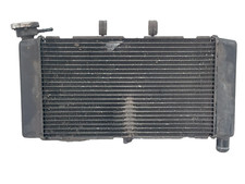 Radiatore acqua Honda originale Honda Integra 750 dtc 2015 2016 18284 km