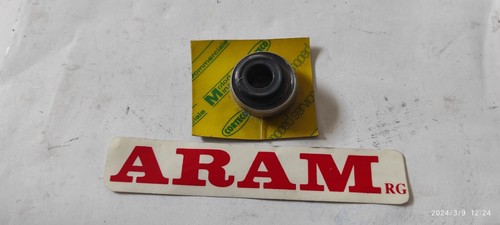 Paraoli motore - , kit