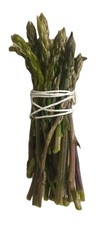 Asparagi Selvatici Macchia
