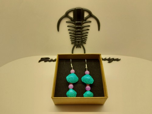 Fossil shell cardium orecchini - shell,
