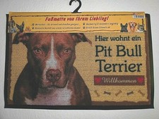 Zerbino Pit Bull Terrier
