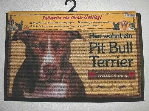 Zerbino pit bull terrier - bull,