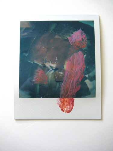 Araki polaroid originale - araki:,
