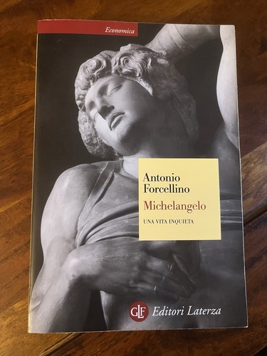 Michelangelo una vita - michelangelo.,