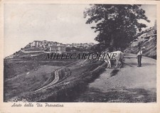ACUTO:  panorama dalla via Prenestina     1953